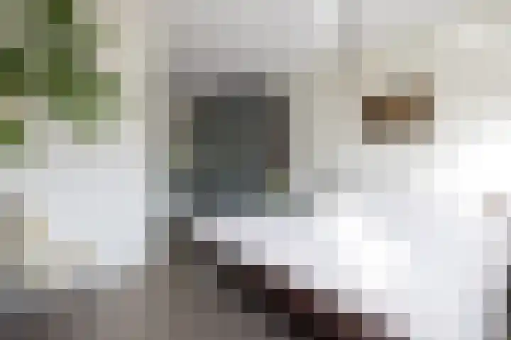 Goedaerthof 23 Rotterdam thumbnail 18