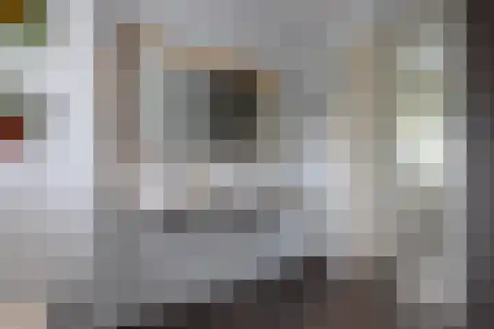 Goedaerthof 23 Rotterdam thumbnail 20