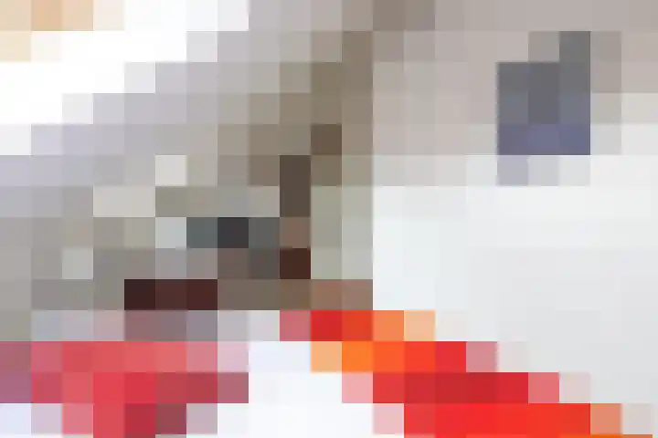 Goedaerthof 23 Rotterdam thumbnail 32