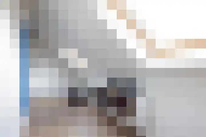 Goedaerthof 23 Rotterdam thumbnail 34