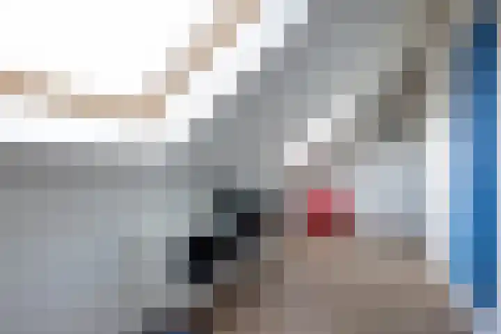Goedaerthof 23 Rotterdam thumbnail 35