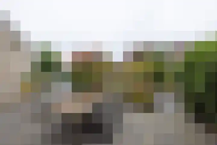 Goedaerthof 23 Rotterdam thumbnail 37