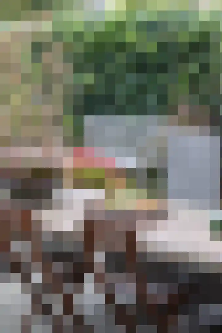 Goedaerthof 23 Rotterdam thumbnail 38