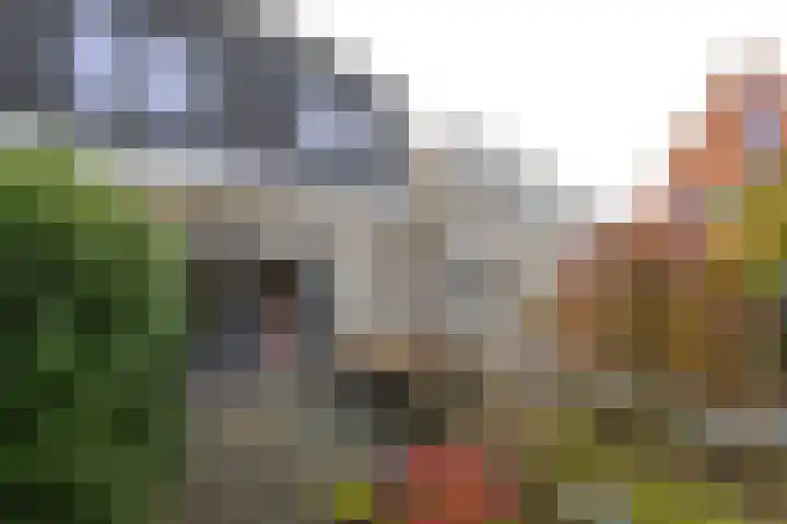 Goedaerthof 23 Rotterdam thumbnail 39