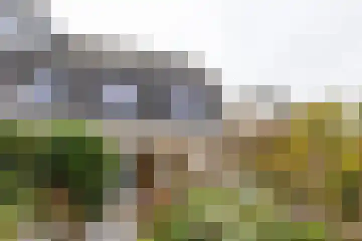Goedaerthof 23 Rotterdam thumbnail 4
