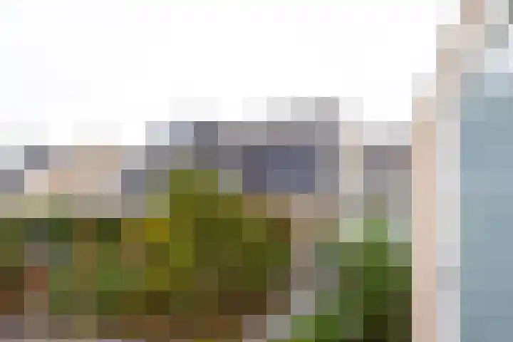 Goedaerthof 23 Rotterdam thumbnail 40