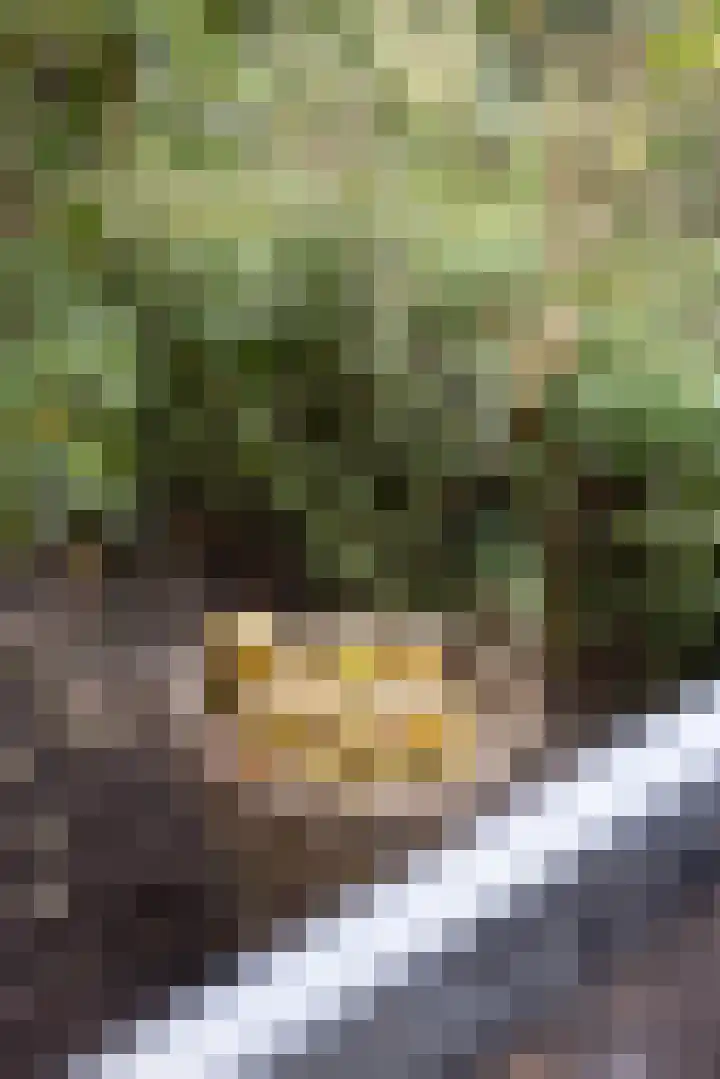 Goedaerthof 23 Rotterdam thumbnail 42