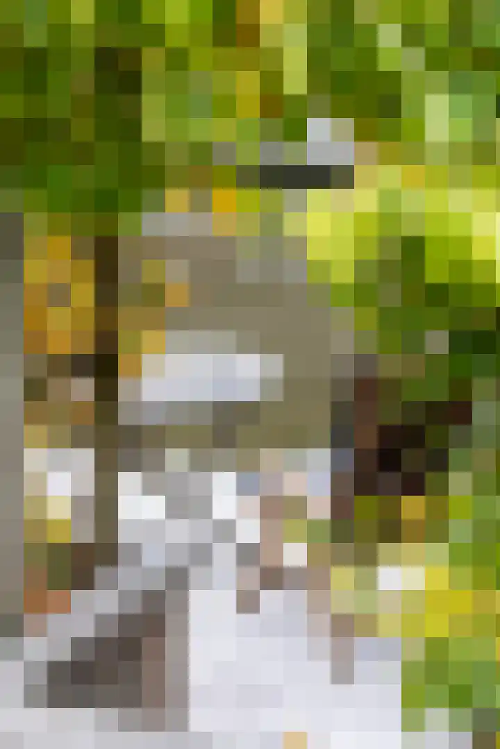 Goedaerthof 23 Rotterdam thumbnail 43