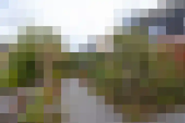 Goedaerthof 23 Rotterdam thumbnail 45