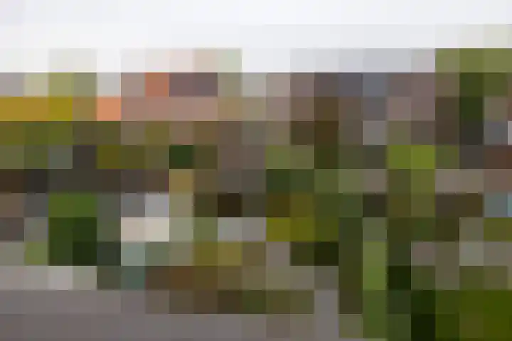 Goedaerthof 23 Rotterdam thumbnail 47