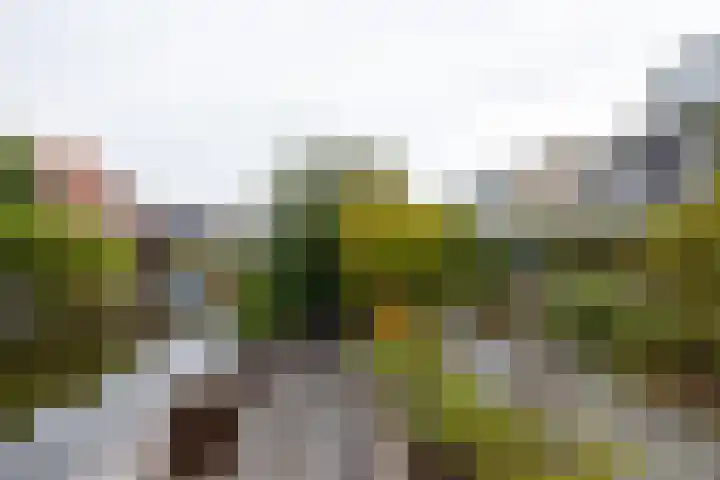 Goedaerthof 23 Rotterdam thumbnail 5