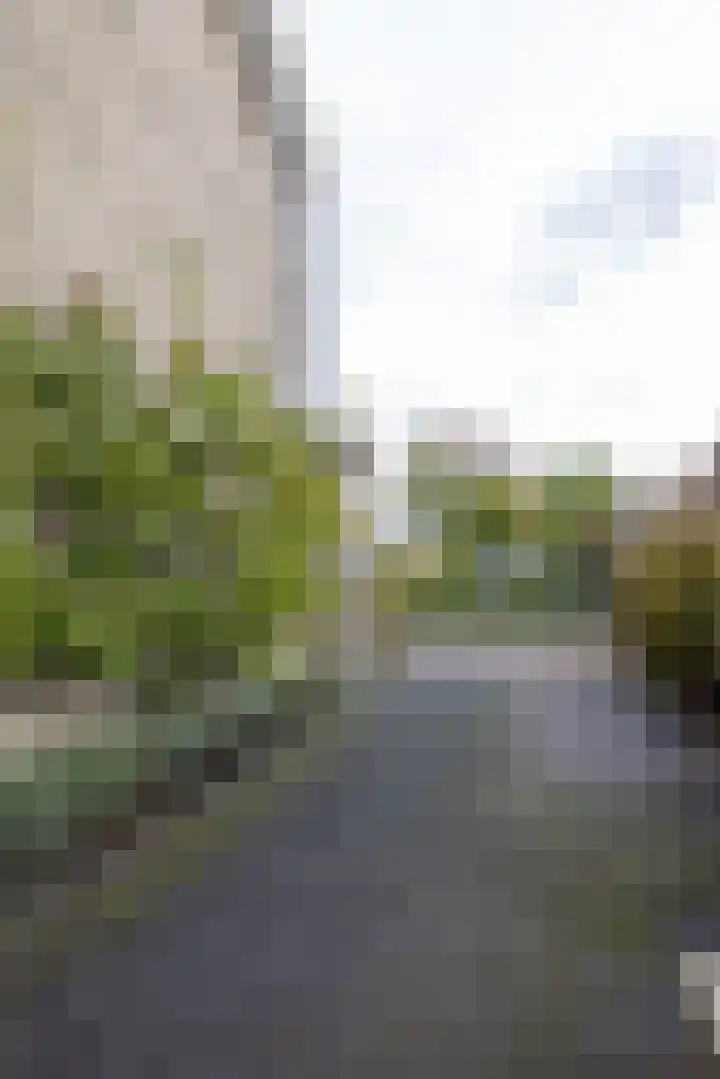 Goedaerthof 23 Rotterdam thumbnail 50