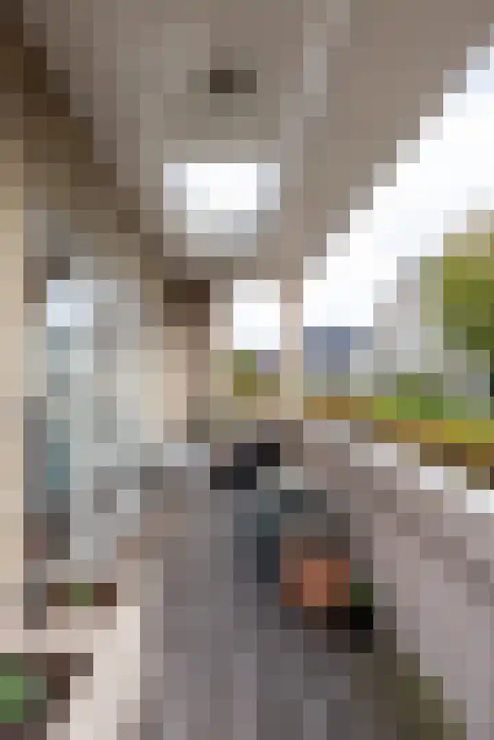 Goedaerthof 23 Rotterdam thumbnail 52