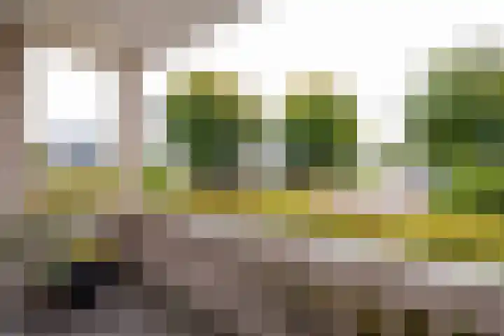 Goedaerthof 23 Rotterdam thumbnail 55