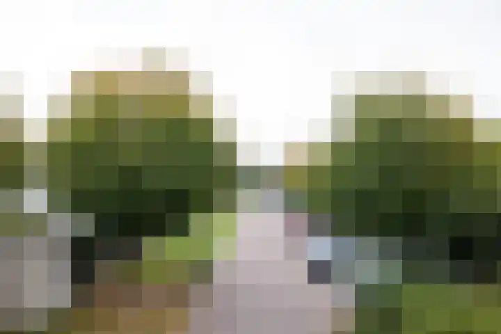 Goedaerthof 23 Rotterdam thumbnail 56