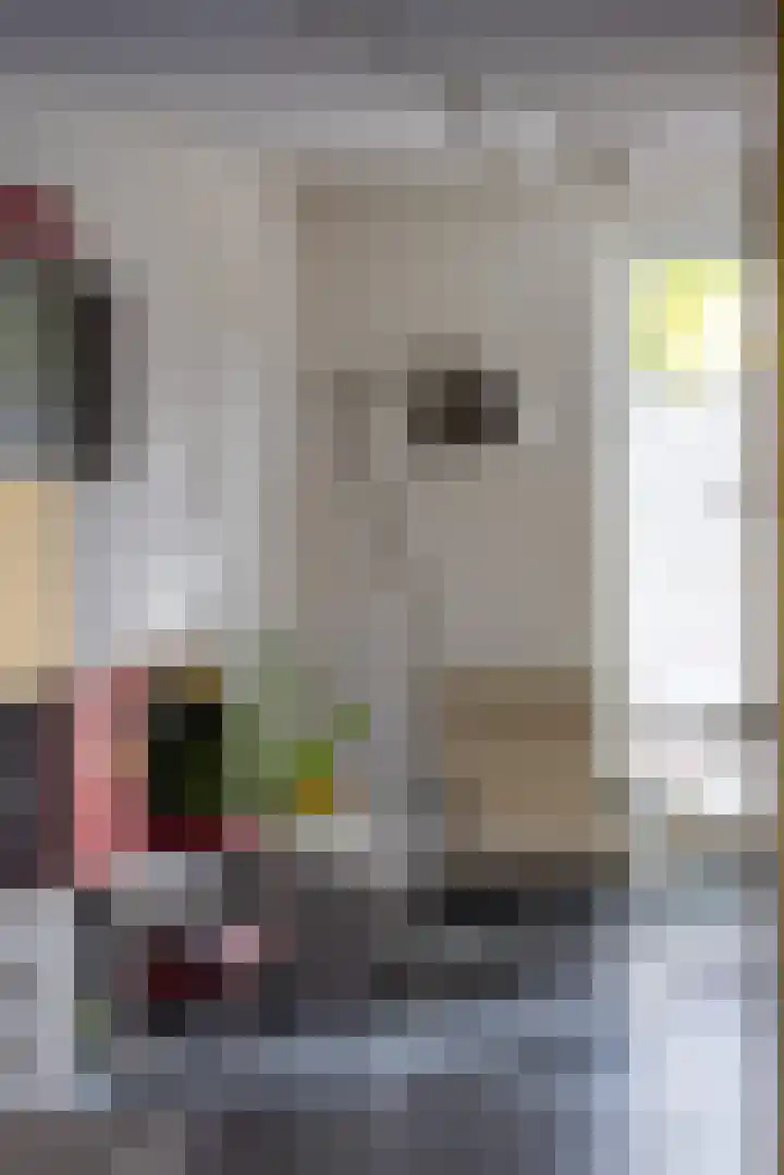 Goedaerthof 23 Rotterdam thumbnail 6