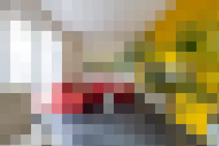 Goedaerthof 23 Rotterdam thumbnail 7