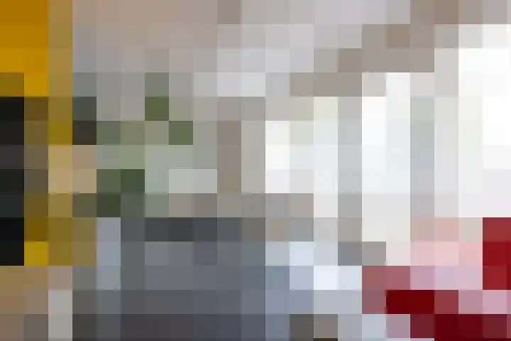 Goedaerthof 23 Rotterdam thumbnail 8