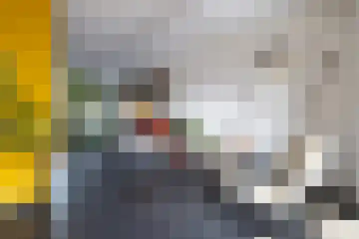 Goedaerthof 23 Rotterdam thumbnail 9