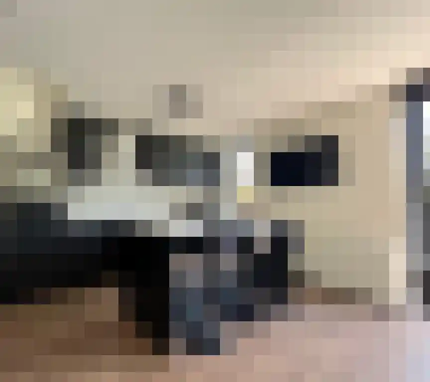 Goede Verwachtinghof 43 Hoogvliet Rotterdam thumbnail 4