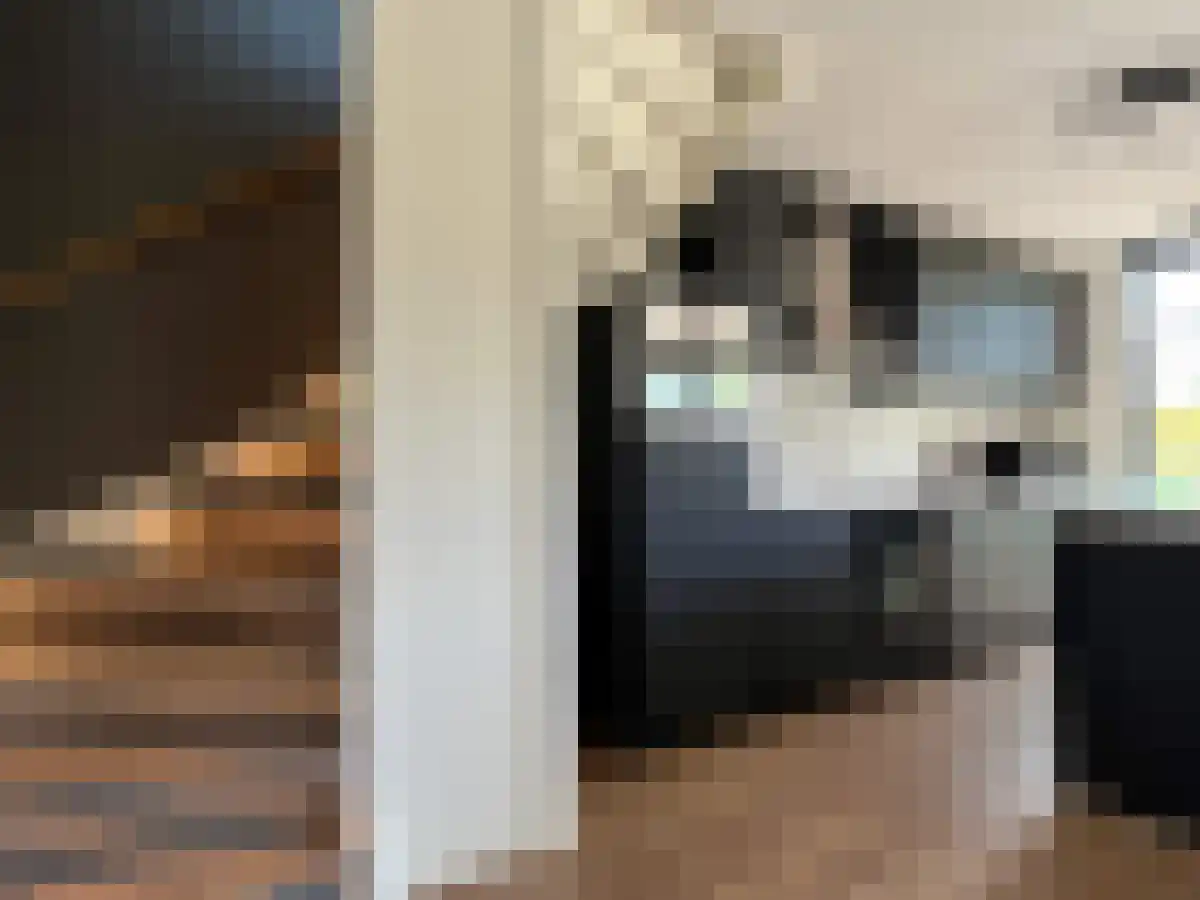 Goede Verwachtinghof 43 Hoogvliet Rotterdam thumbnail 4