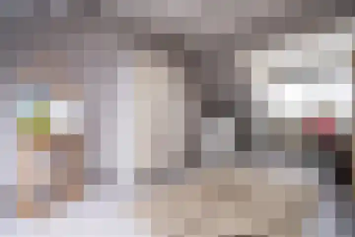 Goedendorplaan 86 Rijswijk thumbnail 30