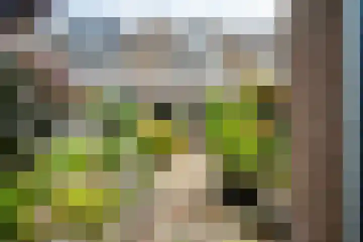 Goedendorplaan 86 Rijswijk thumbnail 33