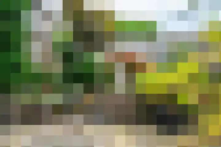 Goedendorplaan 86 Rijswijk thumbnail 34