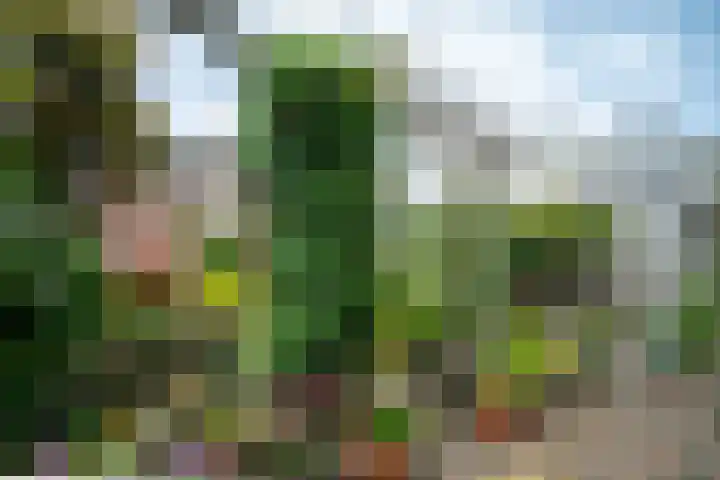 Goedendorplaan 86 Rijswijk thumbnail 35