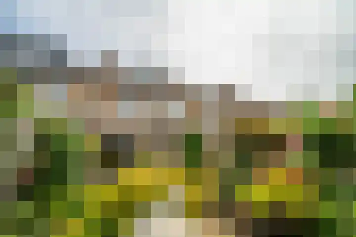 Goedendorplaan 86 Rijswijk thumbnail 36