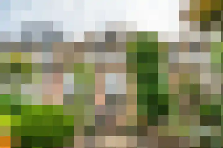 Goedendorplaan 86 Rijswijk thumbnail 37