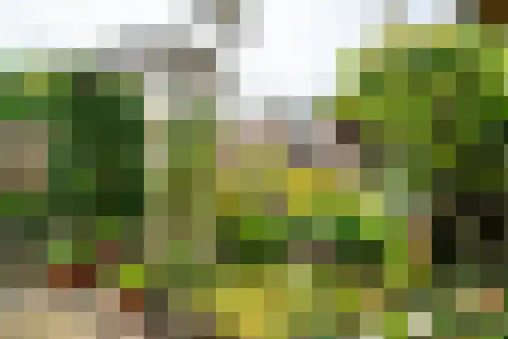 Goedendorplaan 86 Rijswijk thumbnail 38