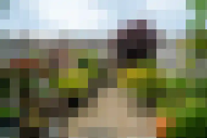 Goedendorplaan 86 Rijswijk thumbnail 39
