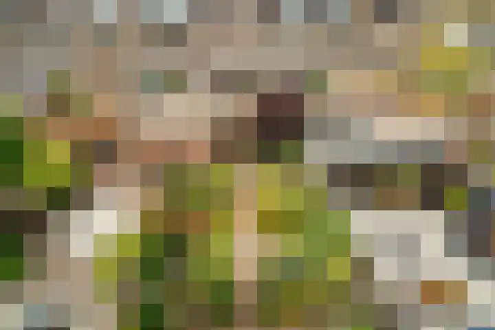 Goedendorplaan 86 Rijswijk thumbnail 40