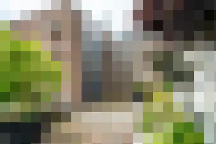 Goedendorplaan 86 Rijswijk thumbnail 41