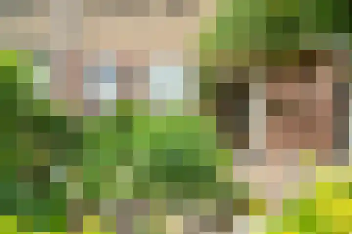 Goedendorplaan 86 Rijswijk thumbnail 42