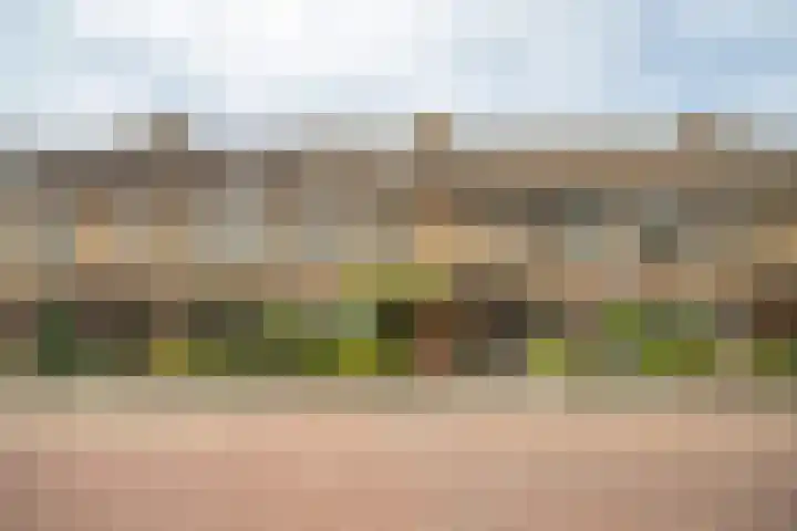 Goedendorplaan 86 Rijswijk thumbnail 44