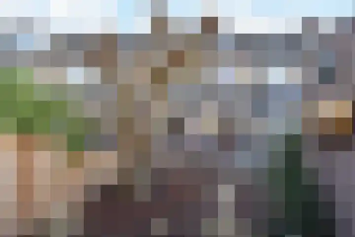 Goedendorplaan 90 Rijswijk thumbnail 15
