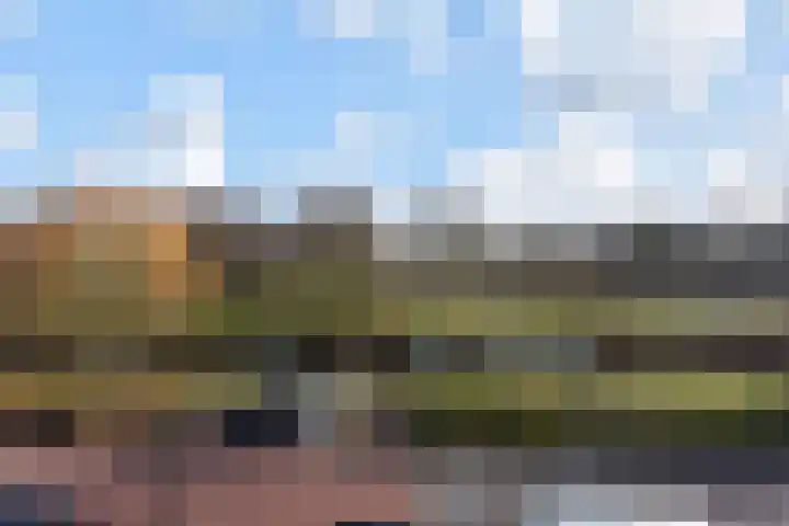 Goedendorplaan 90 Rijswijk thumbnail 30