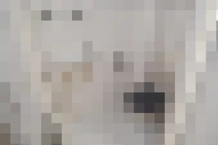 Goedendorplaan 90 Rijswijk thumbnail 36
