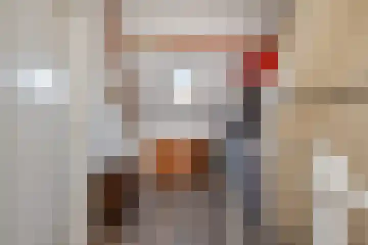 Goedendorplaan 90 Rijswijk thumbnail 38