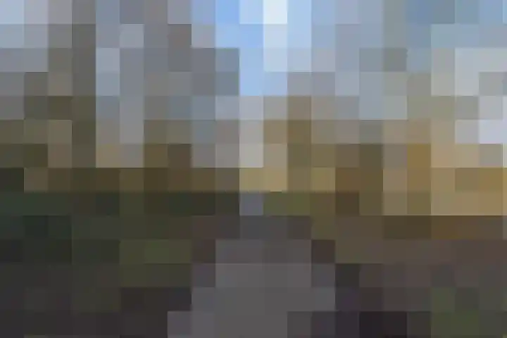 Goedendorplaan 90 Rijswijk thumbnail 45