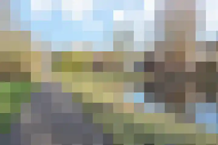 Goedendorplaan 90 Rijswijk thumbnail 46