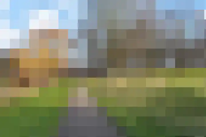 Goedendorplaan 90 Rijswijk thumbnail 47