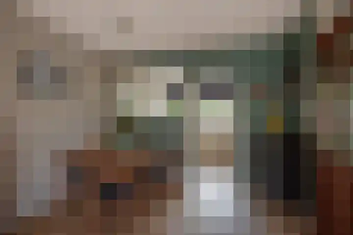Goedendorplaan 92 Rijswijk thumbnail 10