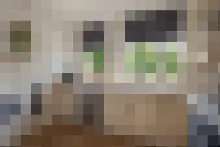 Goedendorplaan 92 Rijswijk thumbnail 11