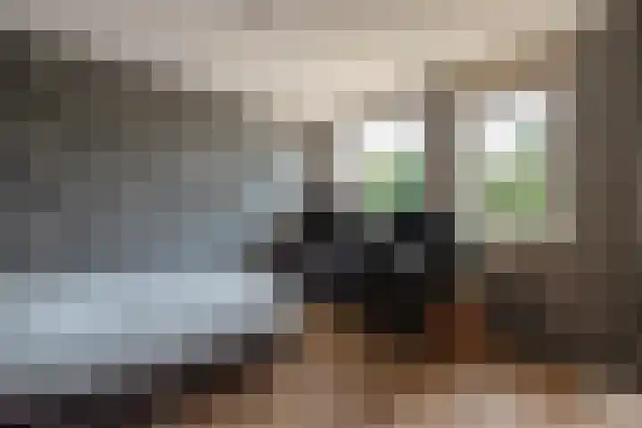 Goedendorplaan 92 Rijswijk thumbnail 17