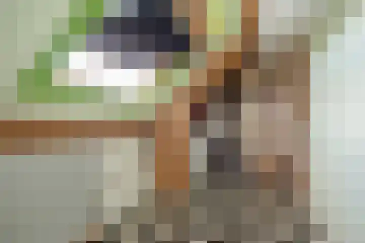 Goedendorplaan 92 Rijswijk thumbnail 22