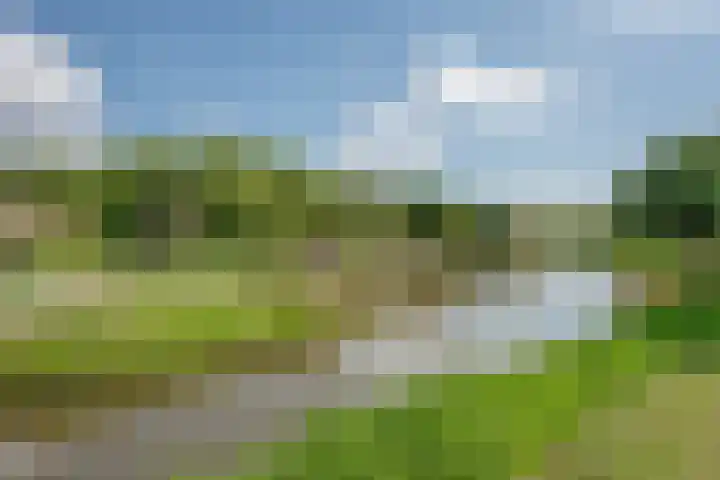 Goedendorplaan 92 Rijswijk thumbnail 27