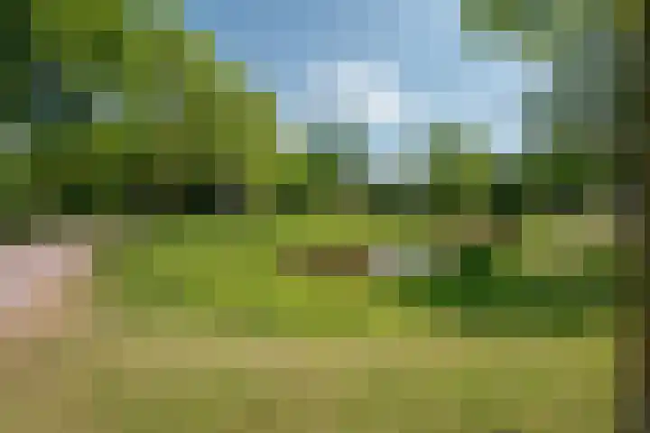 Goedendorplaan 92 Rijswijk thumbnail 28